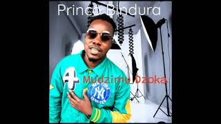 Princo Bindura Mudzimu Dzoka official audio [upl. by Rodrick665]