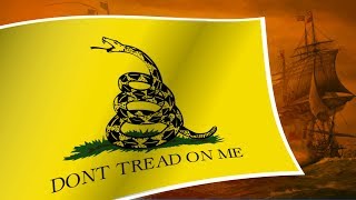 Gadsden Flag The Original Rebel Flag [upl. by Hatnamas]