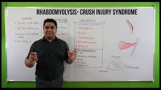 Rhabdomyolysis NCLEX  Rhabdomyolysis in hindi  Rhabdo  Crush injury syndrome  Muscle injury [upl. by Aseeral616]