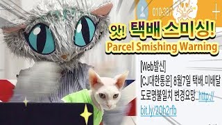 체셔amp베니 대한통운 택배 스미싱 주의★미배달 도로명불일치 변경 링크 유도 수법Parcel Smishing Warning [upl. by Macey117]