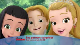 Les goûters surprises  Tous les mercredis à 16h sur Disney Junior [upl. by Nesline]