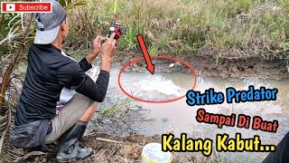 MEMANCING IKAN GABUS BABON DI PARIT SAWIT YANG HAMPIR KERING  VLOG MANCING GOKIL [upl. by Odessa]