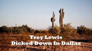 Trey Lewis  Dicked Down In Dallas 1hour [upl. by Akedijn]