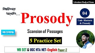 Prosody Scansion Example and Practice  English Honours  বাংলায় [upl. by Adnirol]