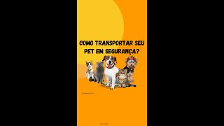 Dicas de como transportar seu pet em segurança 🐈🦮  SeminovosBH [upl. by Silvester]