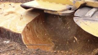 Stump grinding MultiTip Stump Cutting System [upl. by Ambros]