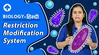 Restriction Modification system  Biology [upl. by Center937]