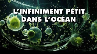 LINFINIMENT PETIT sous la surface des océans [upl. by Mallina]