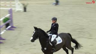 Ingrid Klimke  Parmenides  SSpringen  LE Riesenbeck International 2017 [upl. by Callum93]