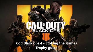 Cod Black ops 4  Stoking the flames Trophy guide [upl. by Ahsir315]