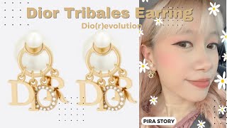 Dior E1099CDLCY Clair D Lune Earrings GoldFinish Metal and White Crystals 디올 클레어 D룬 크리스탈 금장CD 스터드 [upl. by Onimixam563]