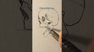 Normal skull vs Anime skull  Jmarron [upl. by Ethelred]