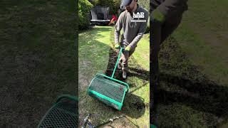 Top Dressing A Lawn Is So Satisfying 🍀 [upl. by Friedrich]