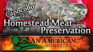 Meat Preservation on the Homestead [upl. by Halonna]