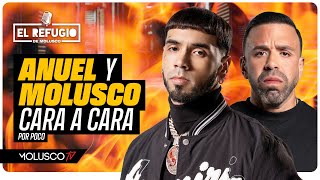 Anuel y Molusco cara a cara por Ozuna por poco Cantante vista con Camisa de Moli Lupillo seduce [upl. by Arriat98]