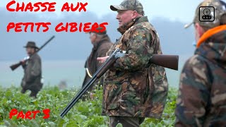 Chasse aux perdreaux et faisans dans la Somme part 3 [upl. by Ardaed9]