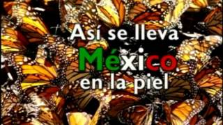 Asi se siente Mexico [upl. by Else]