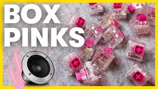 Kailh BOX PINK Sound Test amp Review  The perfect inbetween clicky switch [upl. by Vasiliu]