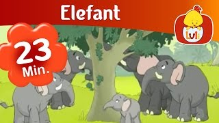 Elefant  episod lung pentru copii  Luli TV [upl. by Pacificia]