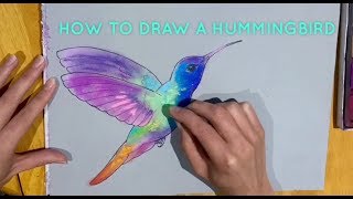 Beginners  How To Draw A Hummingbird [upl. by Kellyann]