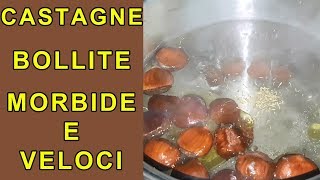 CASTAGNE BOLLITE MORBIDE SI SBUCCIANO FACILMENTE E VELOCEMENTE CASTAGNE LESSE [upl. by Isac]