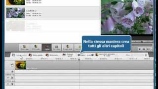 Come convertire file video in DVD usando AVS Video Converter [upl. by Ahserak817]