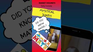 Mystical maths joke from Basset Hounds daily comedy Hilarious 😂 [upl. by Mariano]