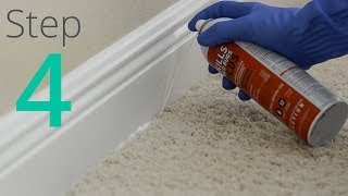 How to Get Rid of Bed Bugs Step 4  4 Spray amp Powder Cracks amp Crevices [upl. by Nahgeam]