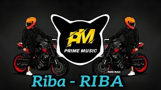 Riba Riba  privte vol Mix King Dj New Song Hindi [upl. by Nicol345]