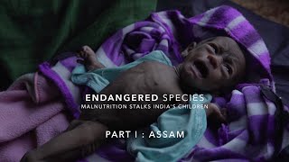 Why Are Most of Indias Malnourished Children in Assam  The Wire [upl. by Tarabar]