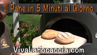 Pane Casereccio in 5 Minuti nel Forno Duettino [upl. by Anuahs]