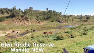 Glen Riddle Reserve near Manilla NSW [upl. by Gannie]