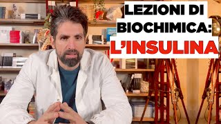 Lezione di biochimica lINSULINA [upl. by Yarezed]