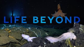 Life Beyond Harnessing science to safeguard our seas [upl. by Ynnod]