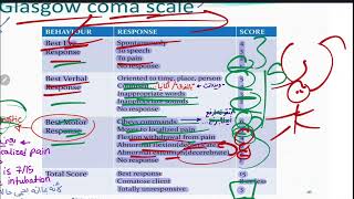 Neuro exam sheet part 1 [upl. by Nedry]