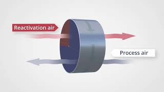 How to Use a Dehumidifier and Blower Dryer [upl. by Ardnazil]