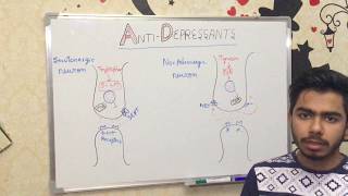 BASICS OF ANTIDEPRESSANTS [upl. by Lebasile529]