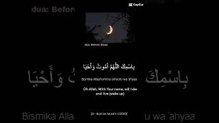 Dua before Sleeping Night Dua quraniclife duastatus quranicwonders youtubeshorts youtubevideo [upl. by Cattier]