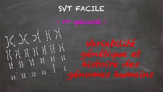 SVT FACILE  1ère spé  Variabilité génétique et histoire des génomes humains [upl. by Hedberg]