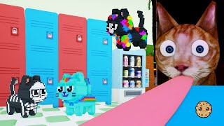 Cat Class Roblox School Obby [upl. by Weiner]