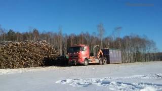 Volvo FH12 ☆ 1h un 40m3 šķelda ☆ Wood chipper [upl. by Eyde]