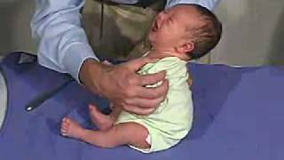 physical exam Newborn Normal Tone  Head Control [upl. by Russ]