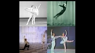 Mikhail Baryshnikov  Four Performances in ‘Don Quixote’ Before 1974 [upl. by Akemahs]