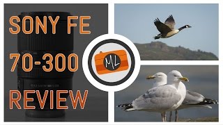 Sony FE 70300mm f4556 G OSS Review [upl. by Gladis]