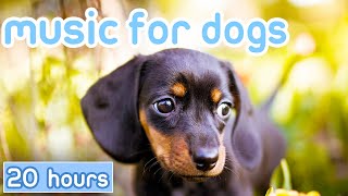 Dog Music 20 HOURS Relaxing Sounds for Dogs with Anxiety [upl. by Seavir485]