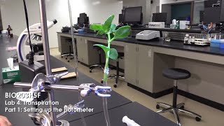 Transpiration Part 1 Setting up the Potometer [upl. by Steinke]