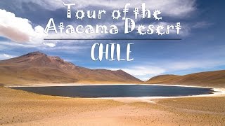 TOUR OF THE ATACAMA DESERT CHILE [upl. by Ailbert891]