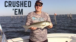 Live Lining for ROCKFISH on the Chesapeake Bay [upl. by Yennor]