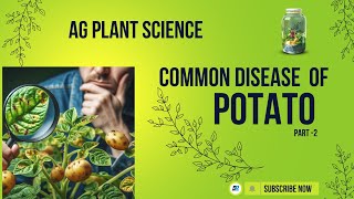 DISEASE OF POTATO IN LEAF types [upl. by Rheba495]