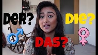 Tips membedakan jenis kelamin pada kata benda di dalam Bahasa Jerman 🇩🇪  belajarbahasajerman [upl. by Twedy]